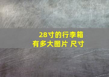 28寸的行李箱有多大图片 尺寸